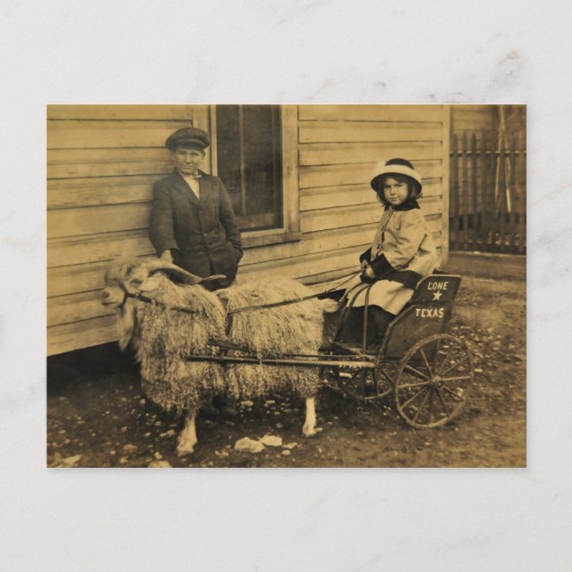 Cartão Postal Texas Ride (Frente)