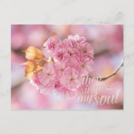 Cartão Postal Texto do Primavera de Ramificação de Cherry Blosso