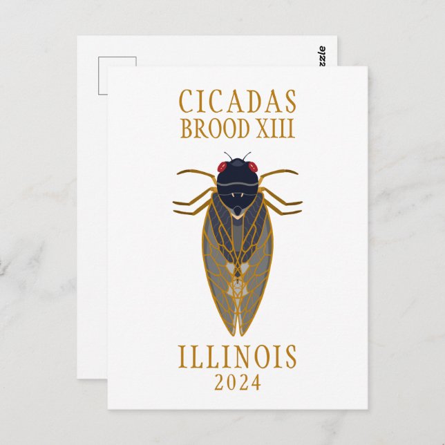 Cartão Postal Texto Personalizado de Cicada Brood XIII ILLINOIS  (Frente/Verso)