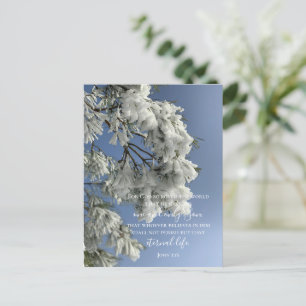 Cartão Postal Texto Personalizado do John 3:16   Foto original d