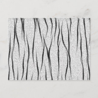 Cartão Postal Textura branca do tigre
