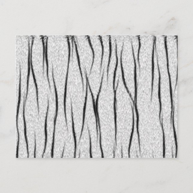 Cartão Postal Textura branca do tigre (Frente)