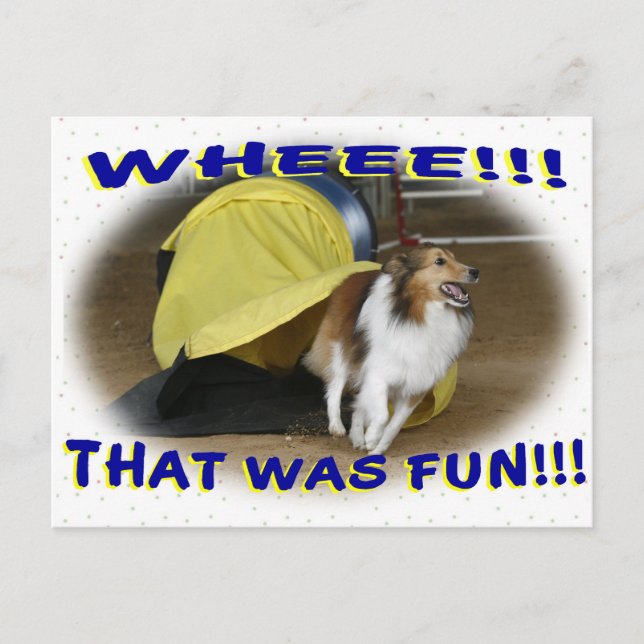 Cartão Postal That was Fun (Frente)