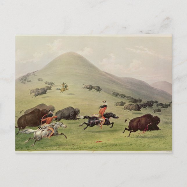 Cartão Postal The Buffalo Hunt, c.1832 (Frente)