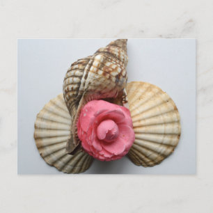 Cartão Postal The Camellia And The Shells