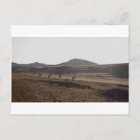 The caravan keeps moving