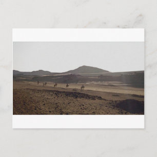 Cartão Postal The caravan keeps moving