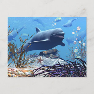 Cartão Postal The Dolphins and The Treasure Chest Postcard
