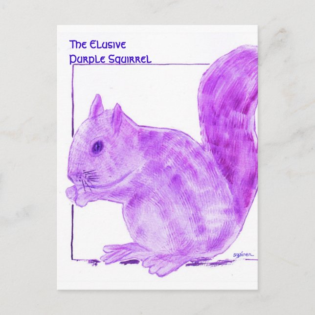 Cartão Postal The Elusive Purple Squirrel (Frente)