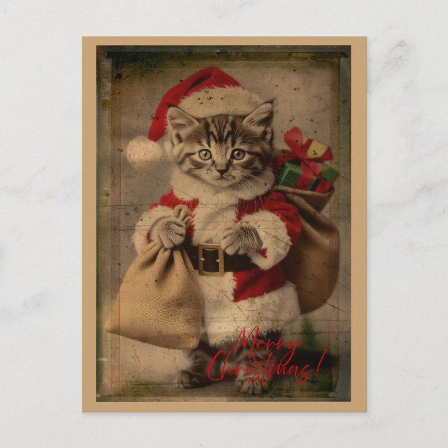 Cartão Postal The 'Festive Folly' Kitten Christmas Postcard (Frente)
