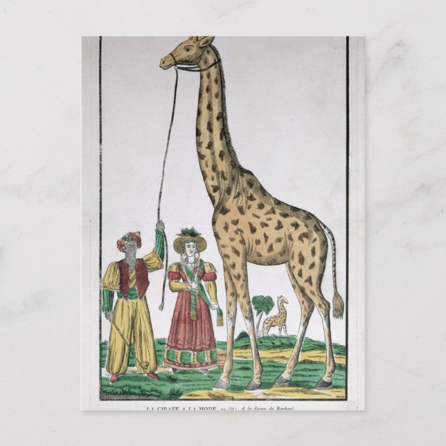 Cartão Postal The Giraffe Presented to King from Pasha of (Frente)