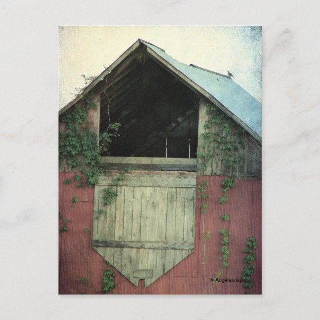 Cartão Postal The Ivy Barn (Frente)