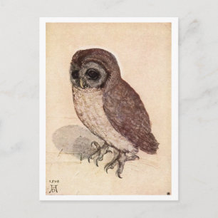 Cartão Postal "The Little Owl", por Albrecht Dürer