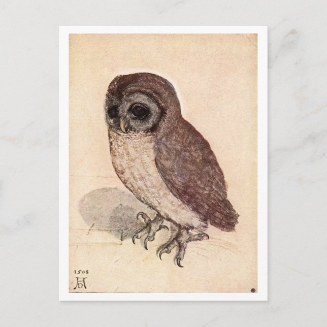 Cartão Postal "The Little Owl", por Albrecht Dürer (Frente)