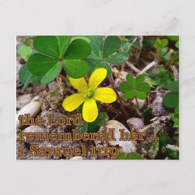 Cartão Postal The Lord Remembered Her Bible Verse Postcard (Frente)