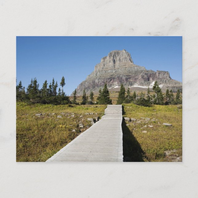 Cartão Postal The pathway to the view of Hidden Lake (Frente)