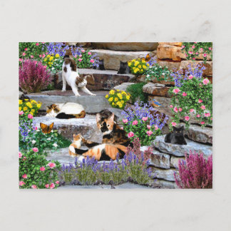 Cartão postal "The Rock Garden"