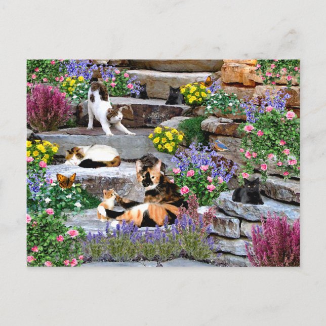 Cartão postal "The Rock Garden" (Frente)