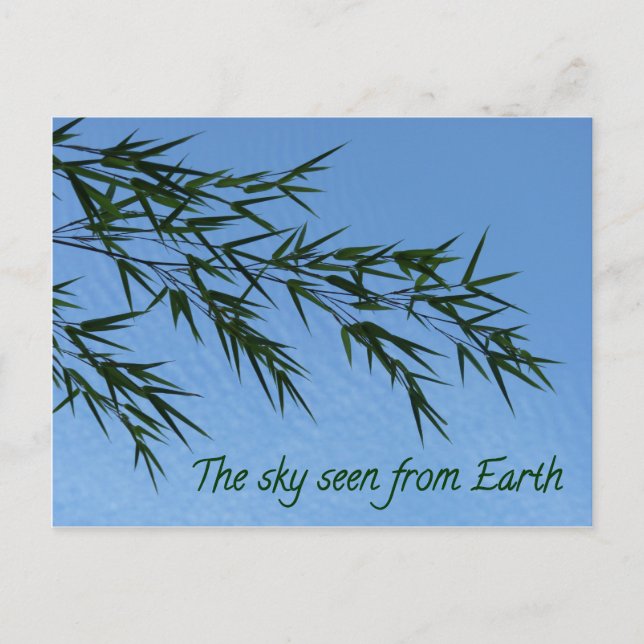 Cartão Postal the sky seen from earth (Frente)