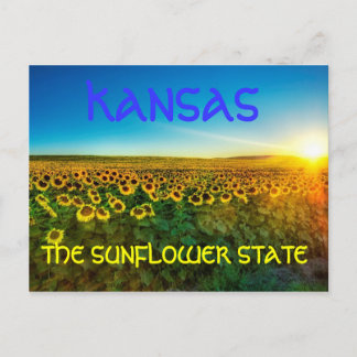 Cartão postal "The Sunflower State" do Kansas