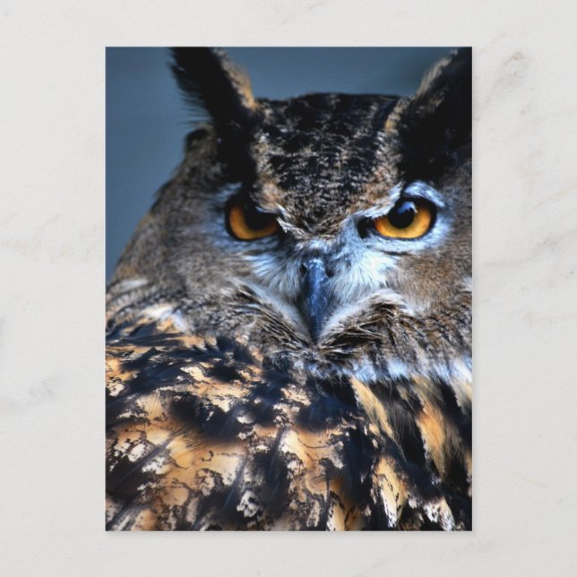 Cartão Postal The Wise One Postcard (Frente)