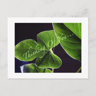 Cartão Postal Thinking of You...