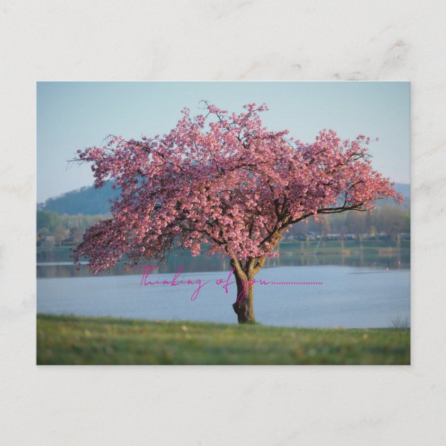 Cartão Postal thinking of you nature  (Frente)