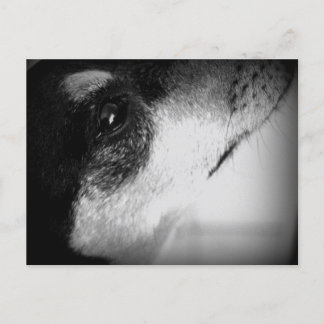 Cartão Postal: Thor