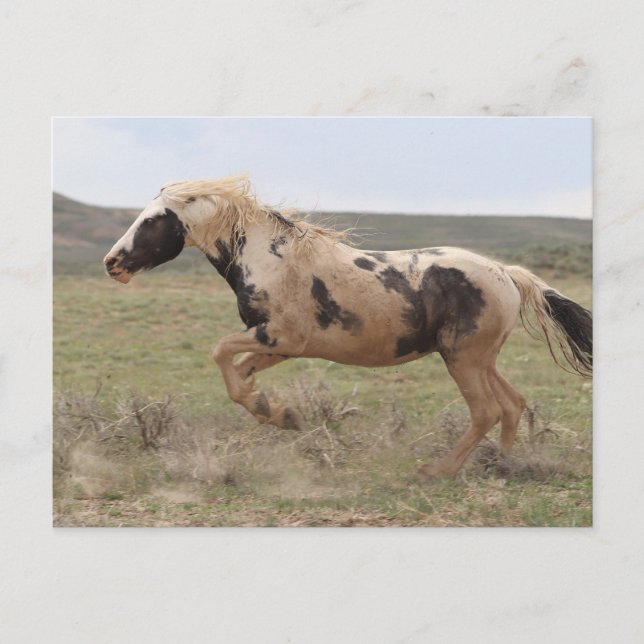 Cartão Postal Thor McCullough Peaks (Frente)