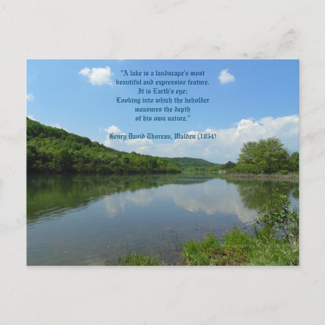 Cartão Postal Thoreau Walden Lake Quote (Frente)