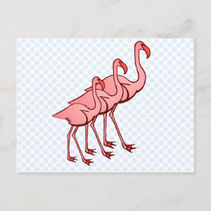 Cartão Postal Three Flamingos