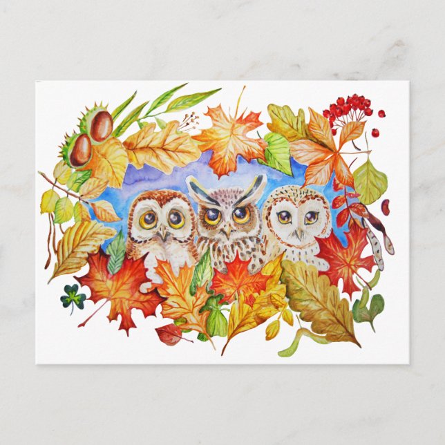 Cartão Postal three owls autumn (Frente)