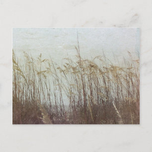 Cartão Postal Through the Dunes II