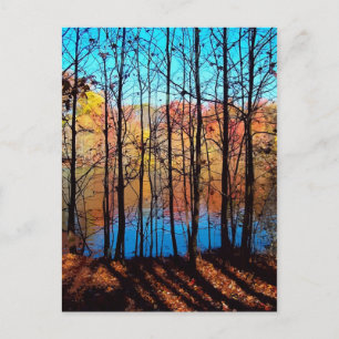 Cartão Postal Thru Trees