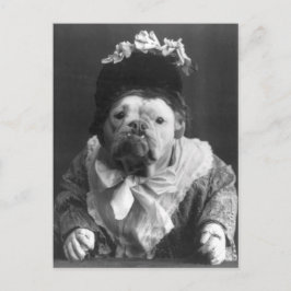 Cartão Postal Tia Maude Dog