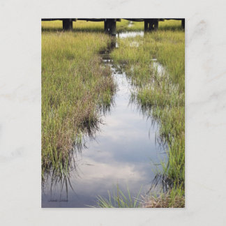 Cartão Postal Tidal Creek