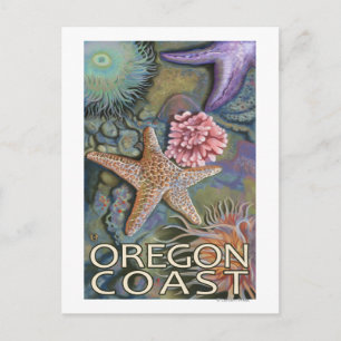 Cartão Postal Tidepool da Costa do Oregon