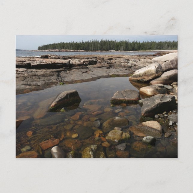 Cartão Postal Tidepool em Wonderland, no Parque Nacional de Acad (Frente)