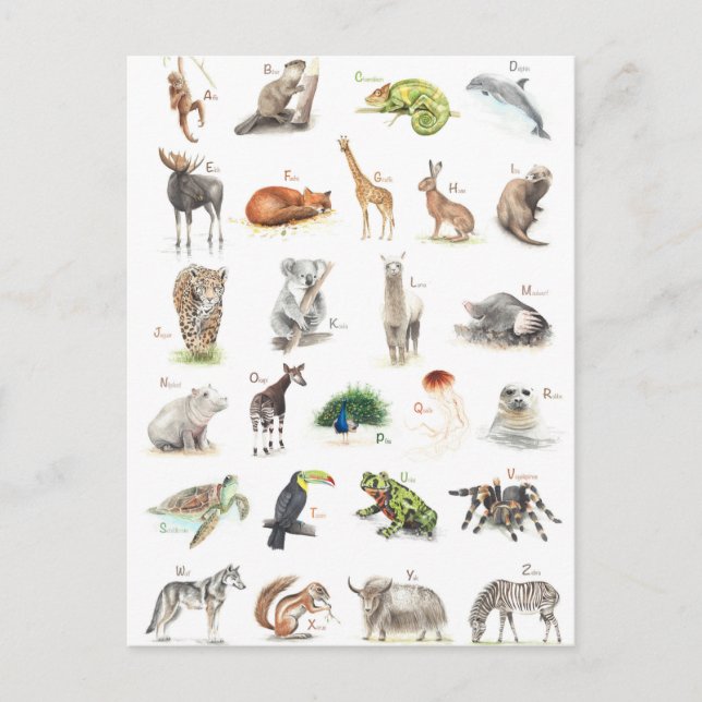 Cartão Postal Tier ABC (Frente)