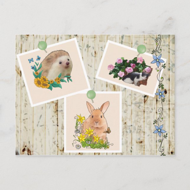 Cartão Postal Tiere im Busch (Frente)