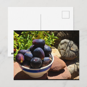 Cartão Postal Tigela de Fruta de Figo em Pedra