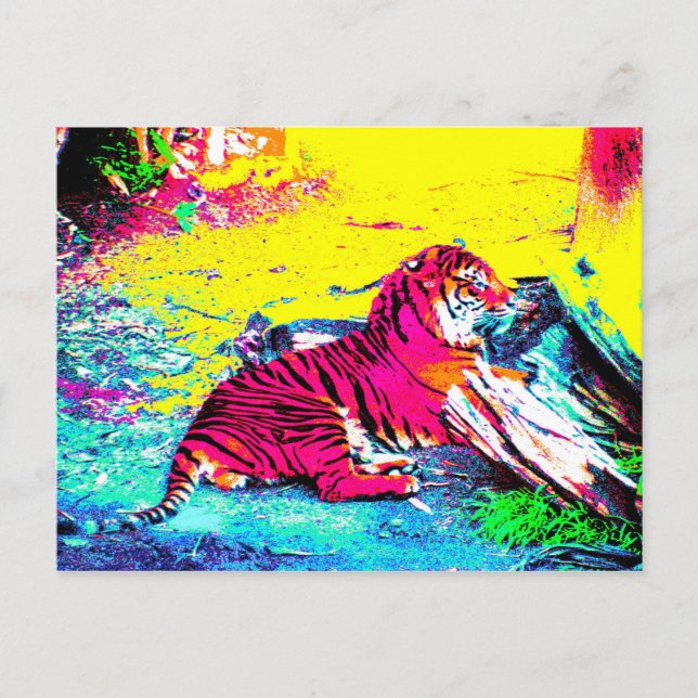 Cartão Postal Tiger Bright (Frente)
