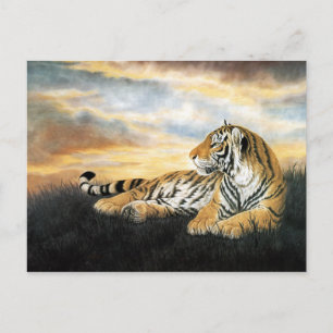 Cartão Postal Tiger Dawn