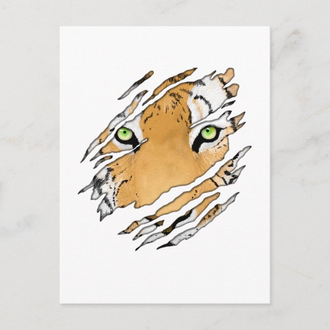 Cartão Postal Tiger Face Wildlife Art (Frente)