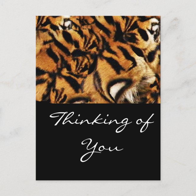 Cartão Postal Tiger Love (Frente)