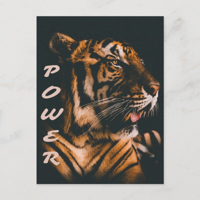 Cartão Postal Tiger Power Stripes Fierce Motivational (Frente)
