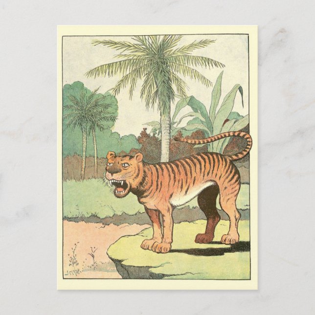 Cartão Postal Tiger Story Book (Frente)