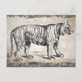 Cartão Postal Tiger Vintage Wildlife Grunge Decorative