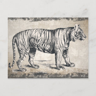 Cartão Postal Tiger Vintage Wildlife Grunge Decorative