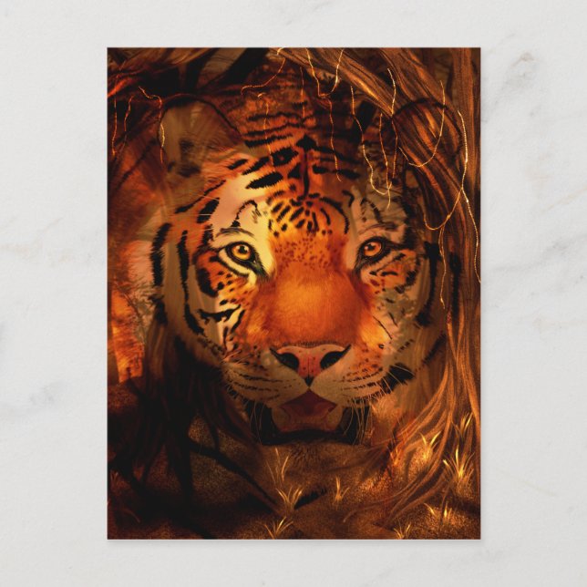 Cartão Postal Tigre (Frente)